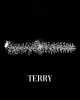 TERRY Zirkon Taşlı Saç Aksesuarı TERRY Zirkon Taşlı Saç Aksesuarı